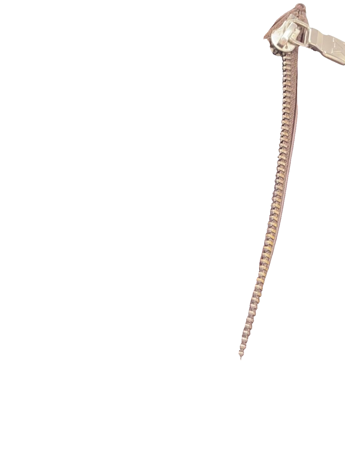 LOUIS VUITTON Portefeuille long Sarah cuir Épi marron quincaillerie dorée